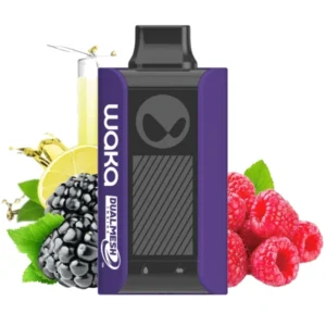 1-waka-pa-10000-berry-lemonade-ягодный-лимонад-вид-спереди-(waka-club.ru)