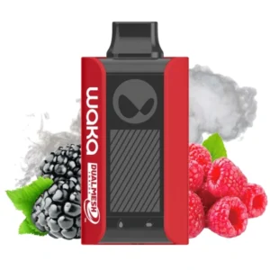 1-waka-pa-10000-berry-shisha-ягодный-кальян-вид-спереди-(waka-club.ru)