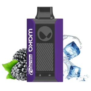 1-waka-pa-10000-blackberry-ice-ледяная-ежевика-вид-спереди-(waka-club.ru)