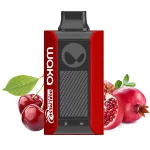 1-waka-pa-10000-cherry-pomegranate-вишня-гранат-вид-спереди-(waka-club.ru)
