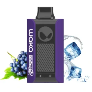 1-waka-pa-10000-grape-ice-ледяной-виноград-вид-спереди-(waka-club.ru)