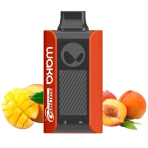1-waka-pa-10000-mango-peach-манго-персик-вид-спереди-(waka-club.ru)