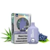 Алоэ Виноград (Aloe Grape)