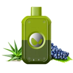 10-WAKA-soPro-PA-7000-алоэ-виноград-aloe-graape-устройство-спереди-(waka-club.ru)