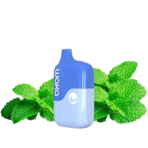 2-WAKA-soFit-FA-4500-мята-fresh-mint-устройство-вид-спереди-(waka-club.ru) 2-WAKA-soFit-FA-4500-мята-fresh-mint-устройство-вид-спереди-(waka-club.ru)