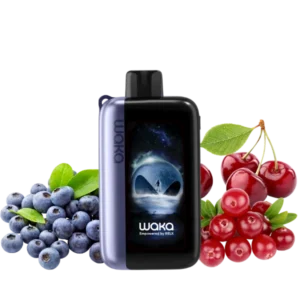 12-waka-30000-jupiter-со-вкусом-черника-клюква-вишня-устройство-вид-спереди-(waka-club.ru)