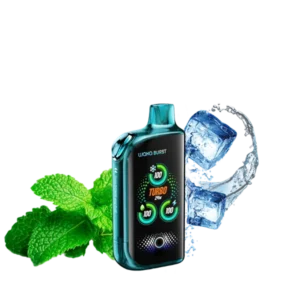 4-waka-et-burst-41000-со-вкусом-ментол-плюс-лёд-микс-устройство-вид-спереди-(waka-club.ru)
